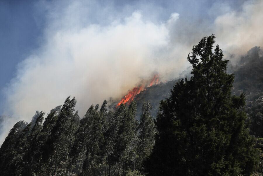 Incendios en Cundinamarca. Foto: Colprensa.