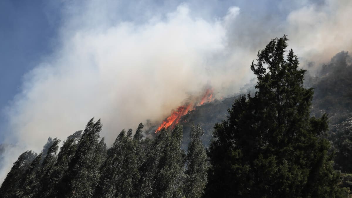 Instalan Puesto de Mando Unificado Regional para hacer frente a incendios en Cundinamarca