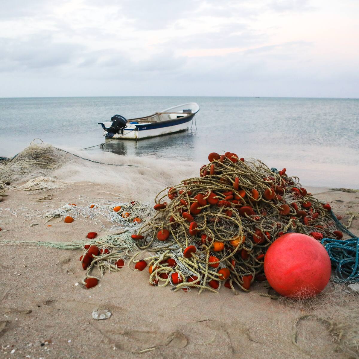 Van Camps, entre las empresas que más practican la pesca ilegal
