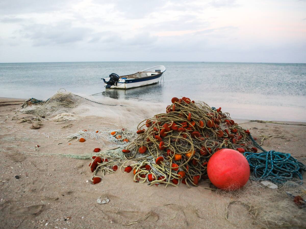 Van Camps, entre las empresas que más practican la pesca ilegal
