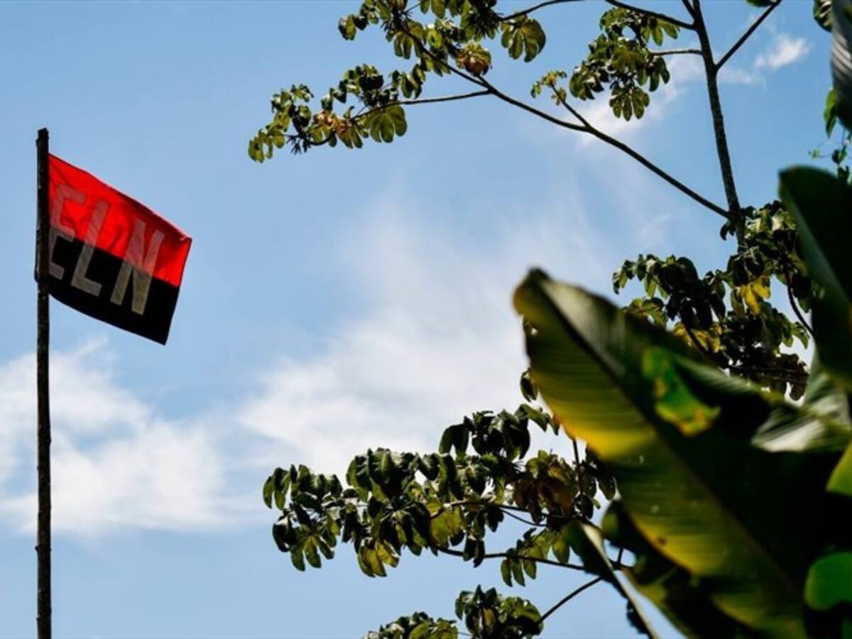 Caen siete integrantes de la guerrilla del ELN en Arauca