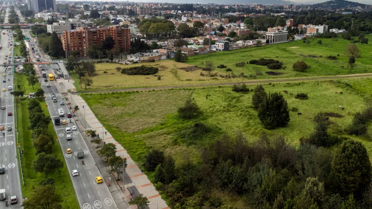 Secretaría de Ambiente desmiente críticas sobre el Distrito Verde: no es un humedal