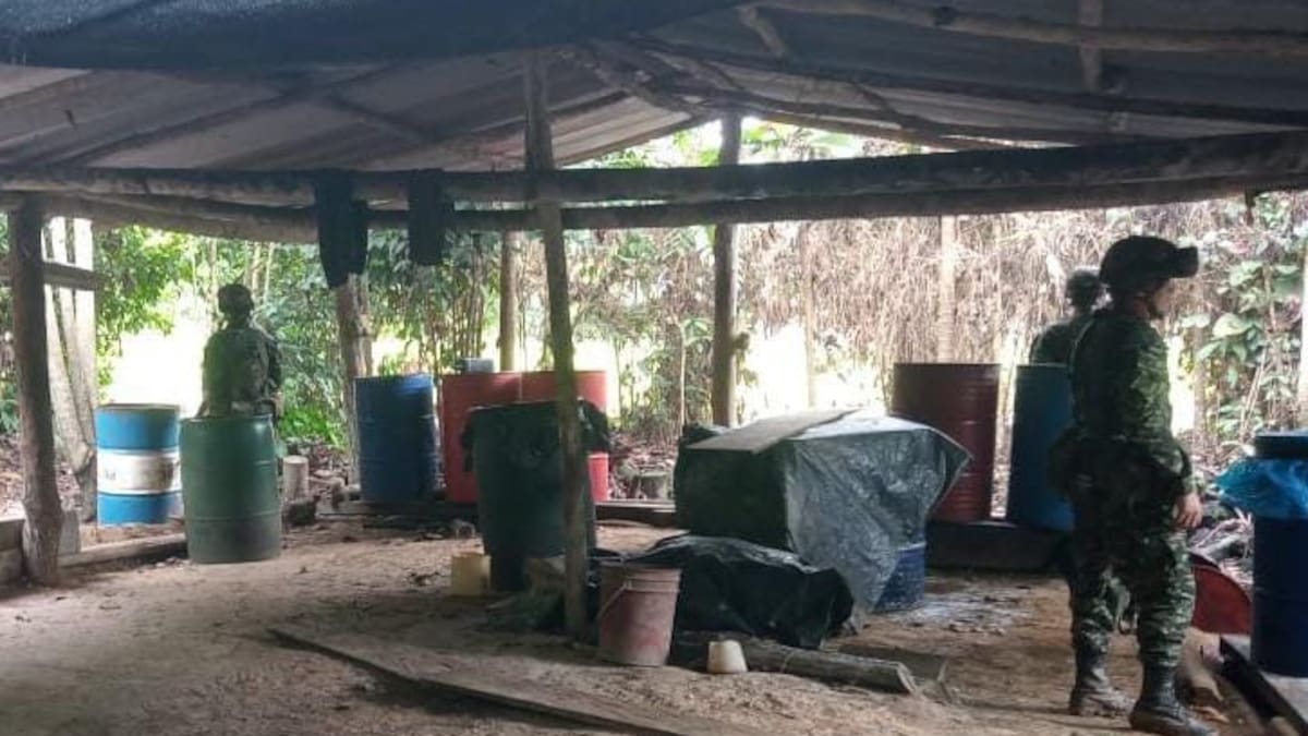 Ejército destruyó dos nuevos laboratorios de coca en San José de Uré, sur de Córdoba