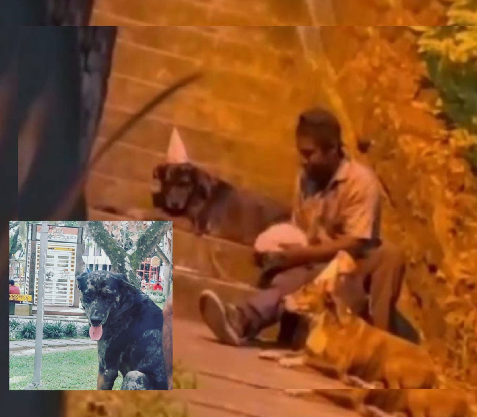 Shoko Aventura y Shaggy/