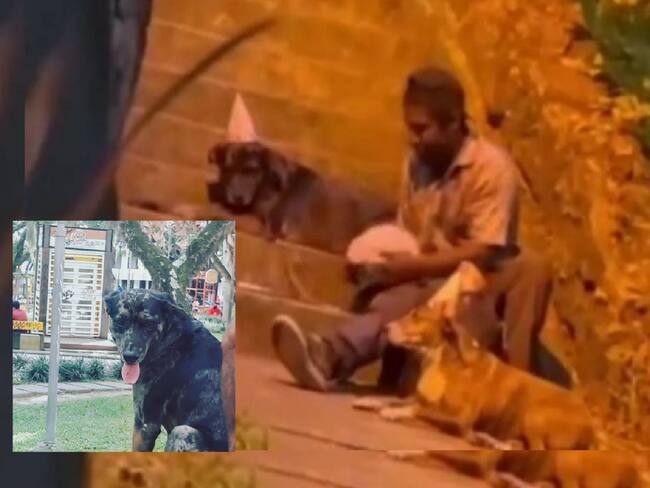 Shoko Aventura y Shaggy/