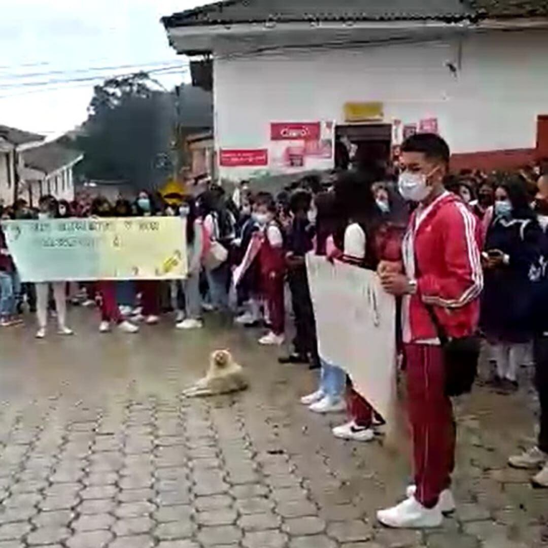 Estudiantes de las instituciones educativas Normal Superior Santa Clara y el colegio agropecuario San Luis del municipio de Almaguer realizaron un plantón. Crédito: Colegio San Luis. 