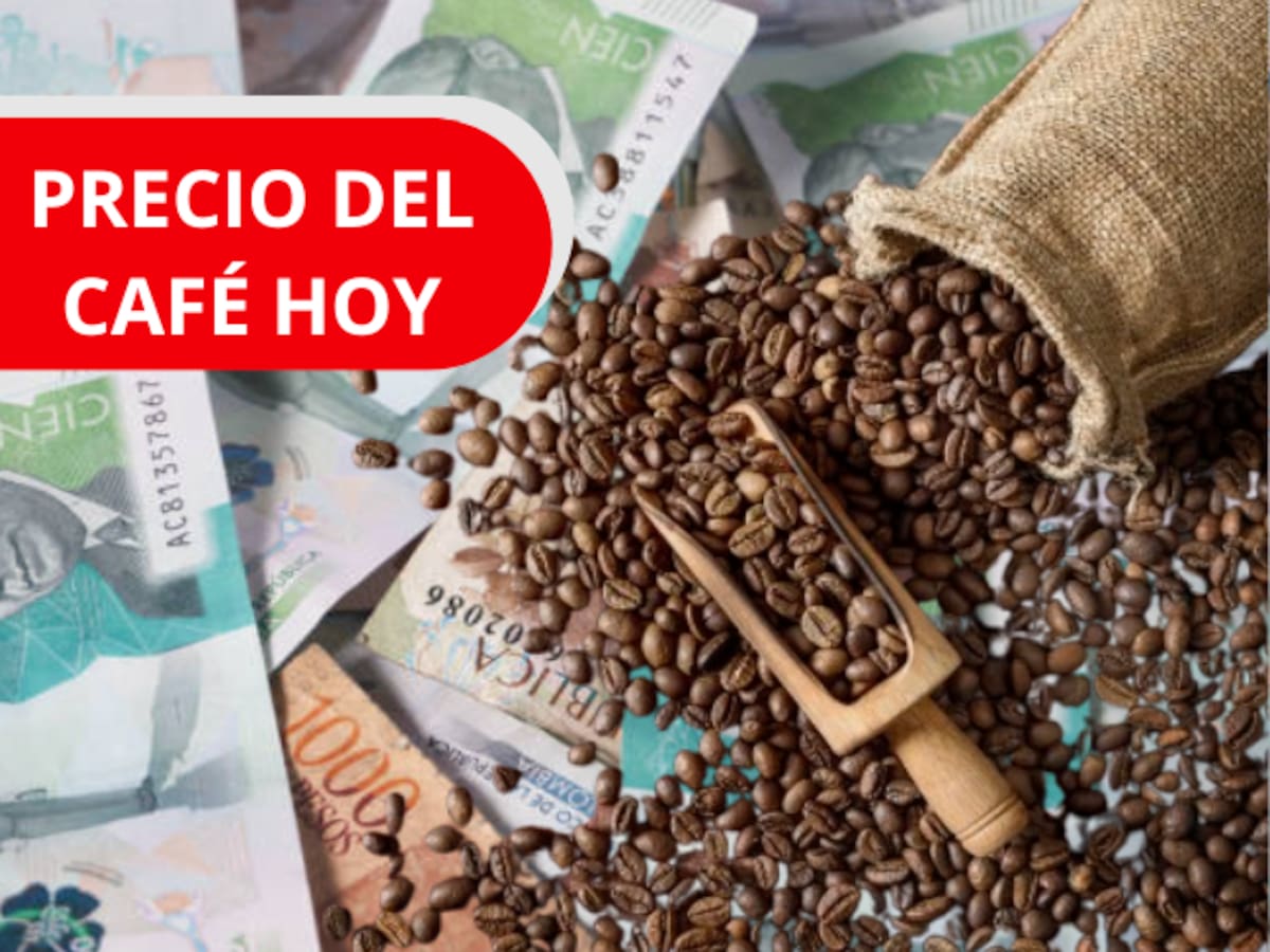 Precio del café HOY, 19 de febrero, en Colombia según la Federación Nacional de Cafeteros
