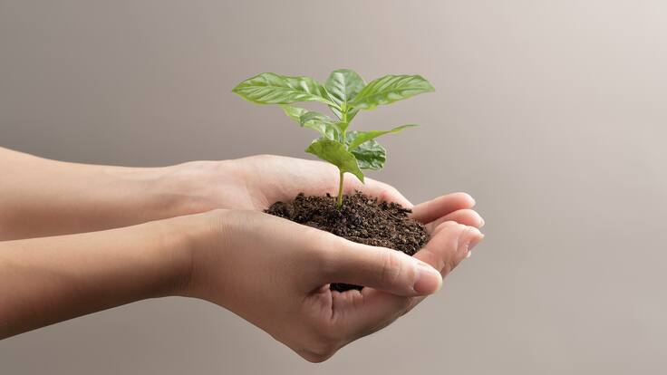 UDCA y Secretaría de Ambiente de Bogotá firman acuerdo para preservar el medio ambiente