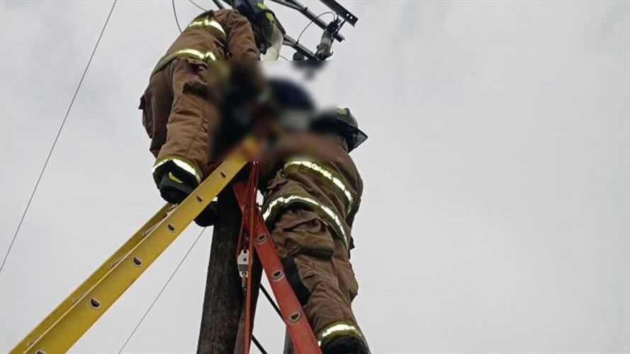 Los afectados fueron llevados de urgencia al Hospital San José . Foto: Bomberos Popayán