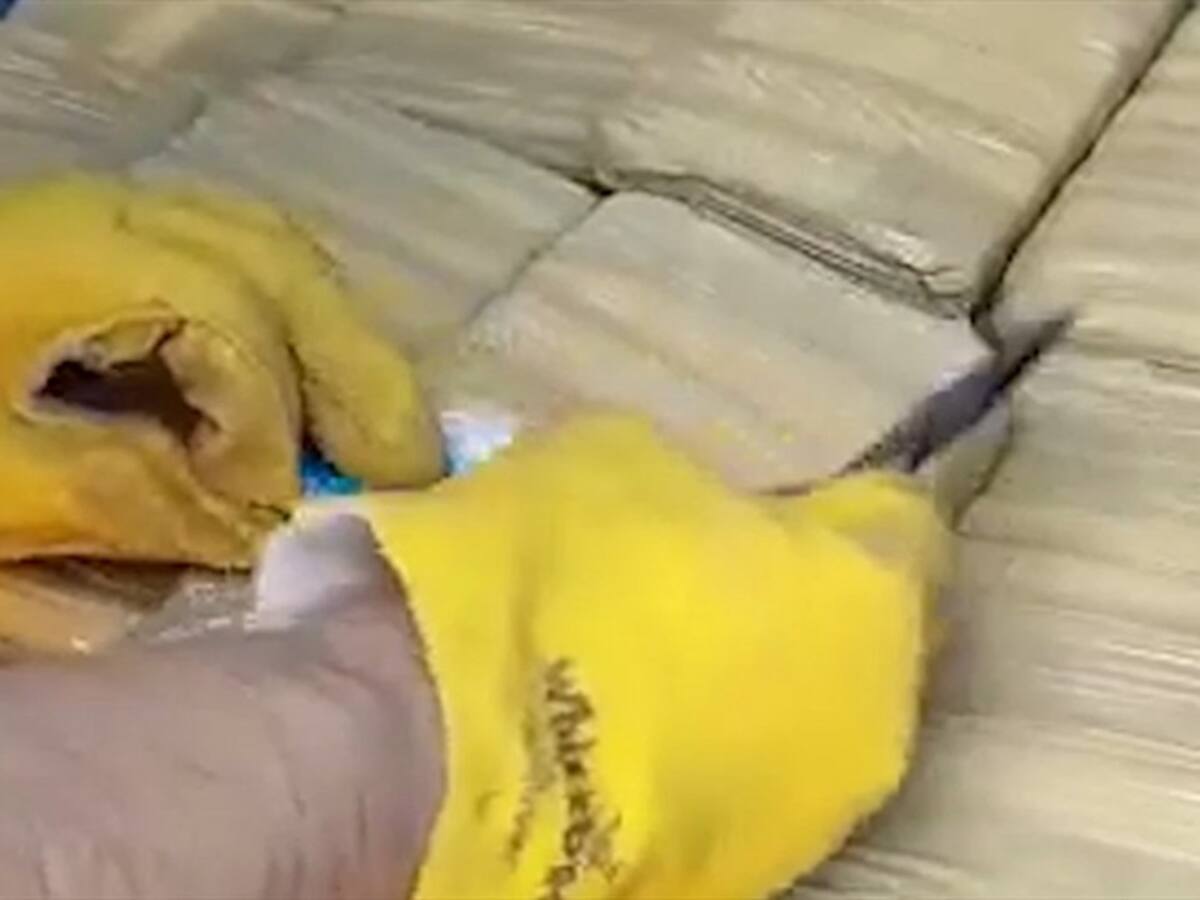 Una tonelada de marihuana que salió del Cauca fue incautada en Cúcuta