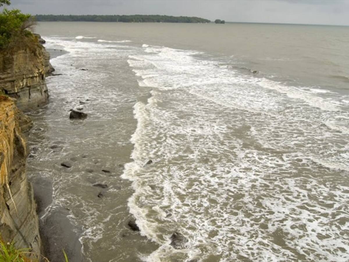 Conozca el trabajo de un guardaparque en la cuarentena