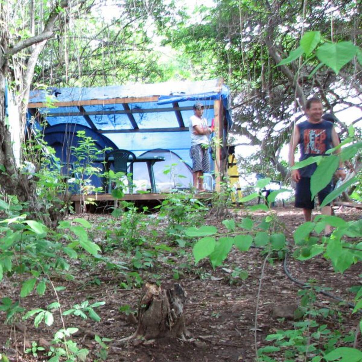 Procuradores territoriales deben recibir denuncias en casos de invasión de predios