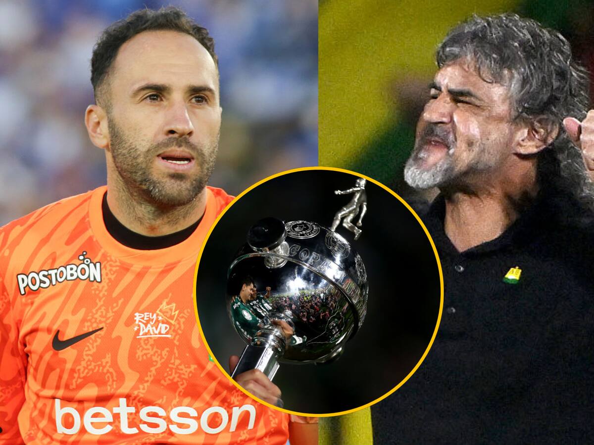 Atlético Nacional y Bucaramanga, ¿cuándo son los próximos partidos por Copa Libertadores?