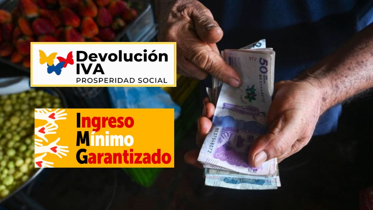 ¿En qué se diferencia la Devolución del IVA y el Ingreso Mínimo Garantizado?