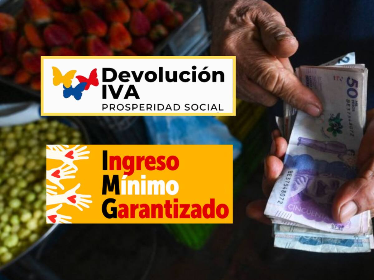 ¿En qué se diferencia la Devolución del IVA y el Ingreso Mínimo Garantizado?