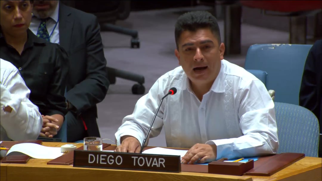 Diego Ferney Tovar. Foto: tomada de la transmisión de la sesión del Consejo de Seguridad