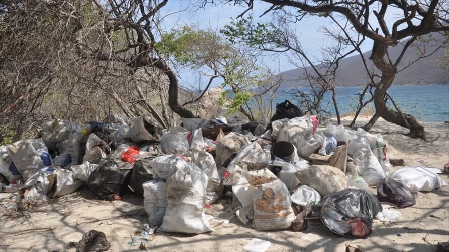 La monstruosa destrucción de los ecosistemas en Bahía Concha. Foto: Redacción W Radio