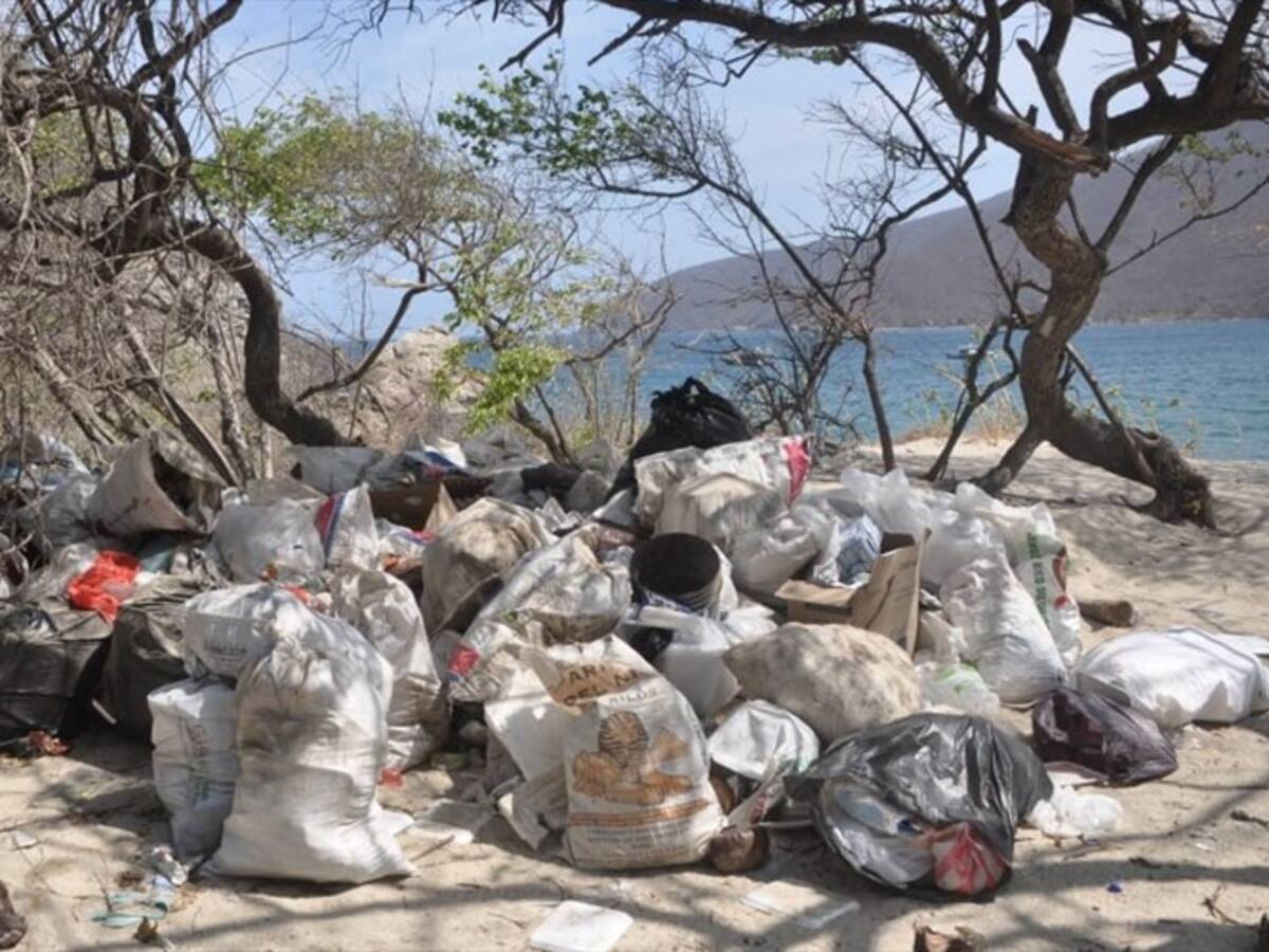 La monstruosa destrucción de los ecosistemas en Bahía Concha
