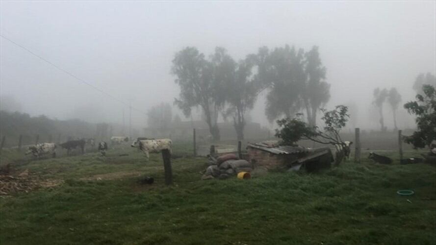 Son 23.000 las hectáreas arrasadas por las heladas en Boyacá.   . Foto: La W