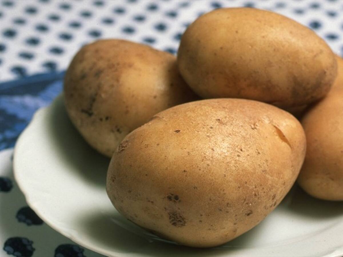 Productores de papa en Nariño buscan armonizar su actividad con la salud del planeta