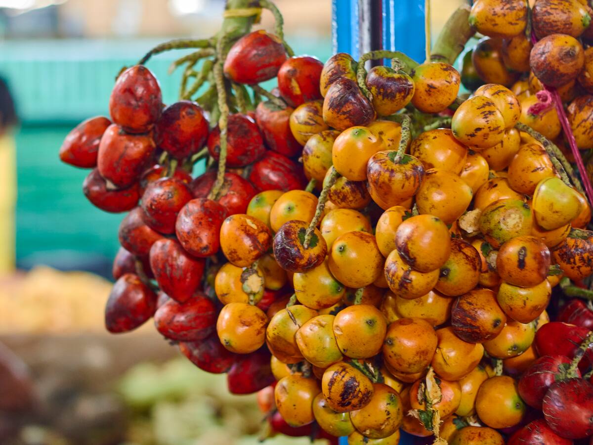 Si le gusta el chontaduro tiene que conocer estas 5 recetas