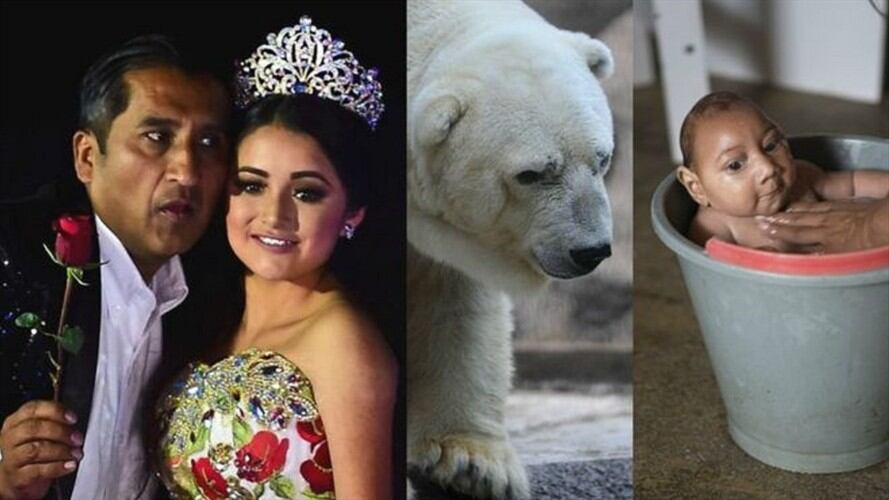 Finaliza el año, y en BBC Mundo echamos una mirada hacia atrás para repasar aquellas historias que nacieron, triunfaron y murieron en internet.. Foto: BBC Mundo