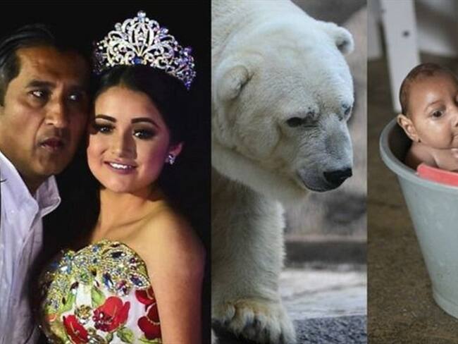 Finaliza el año, y en BBC Mundo echamos una mirada hacia atrás para repasar aquellas historias que nacieron, triunfaron y murieron en internet.. Foto: BBC Mundo