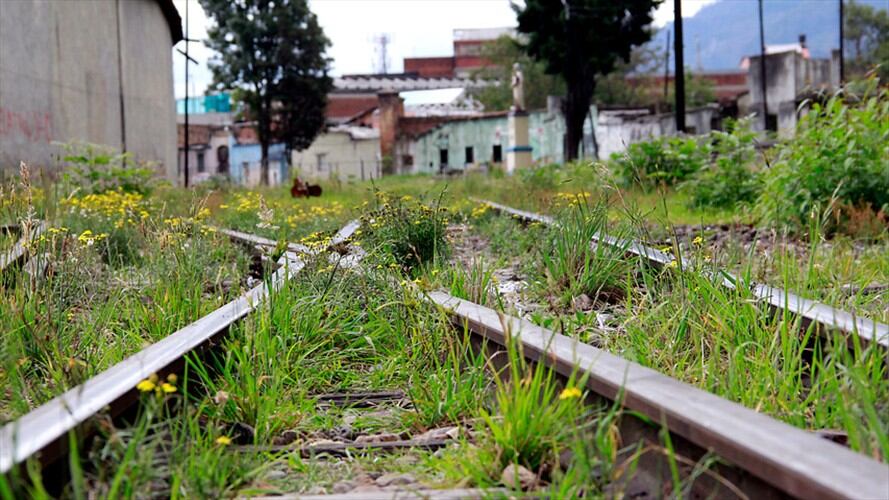 Cuatro personas fallecieron después que un tren chocará con un vehículo en el área rural del municipio de Ciénaga (Magdalena)/ Imagen de referencia. Foto: Colprensa