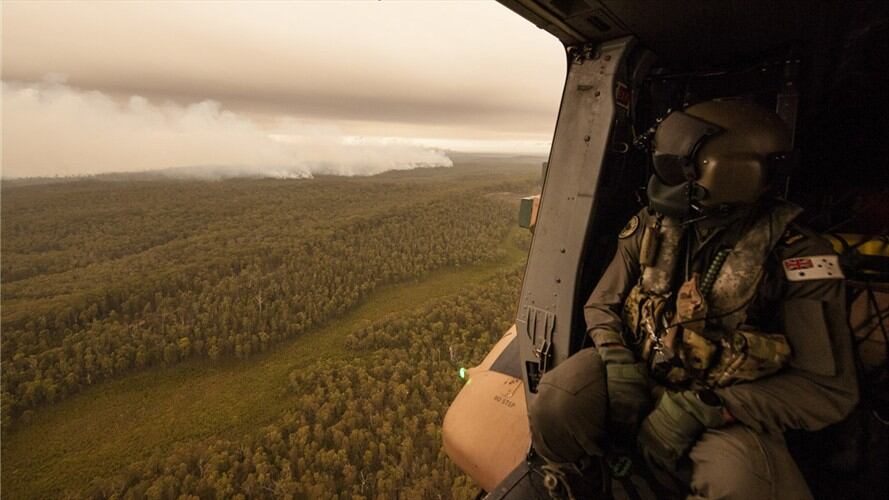 Incendios en Australia han ocasionado millones de muertes de animales. Foto: Getty Images