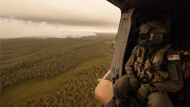 Incendios en Australia han ocasionado millones de muertes de animales. Foto: Getty Images