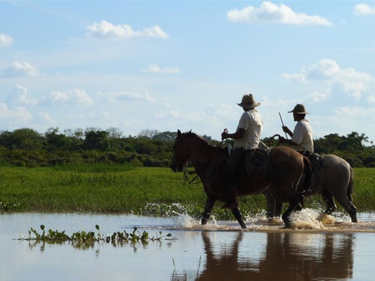 Imputan a particulares por venta de lotes en zona de reserva forestal de Villavicencio