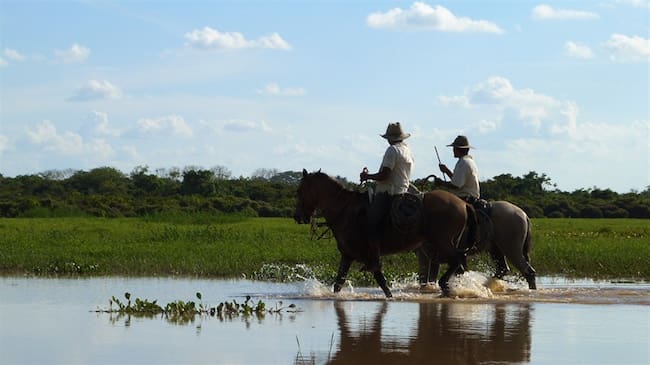 Daño ambiental y apropiación de terrenos en Meta. Foto: Colprensa