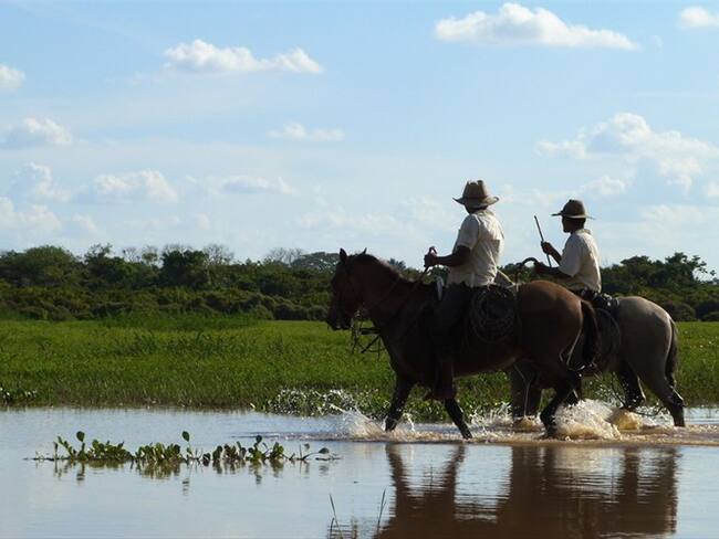 Daño ambiental y apropiación de terrenos en Meta. Foto: Colprensa