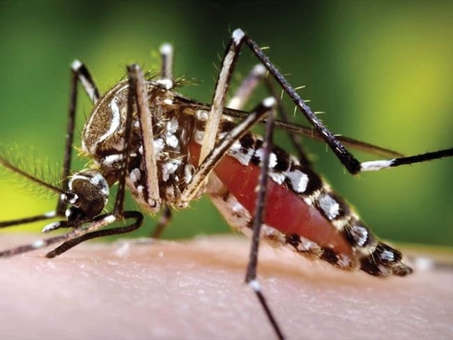 Incremento de casos de dengue en La Guajira. Foto: Colprensa