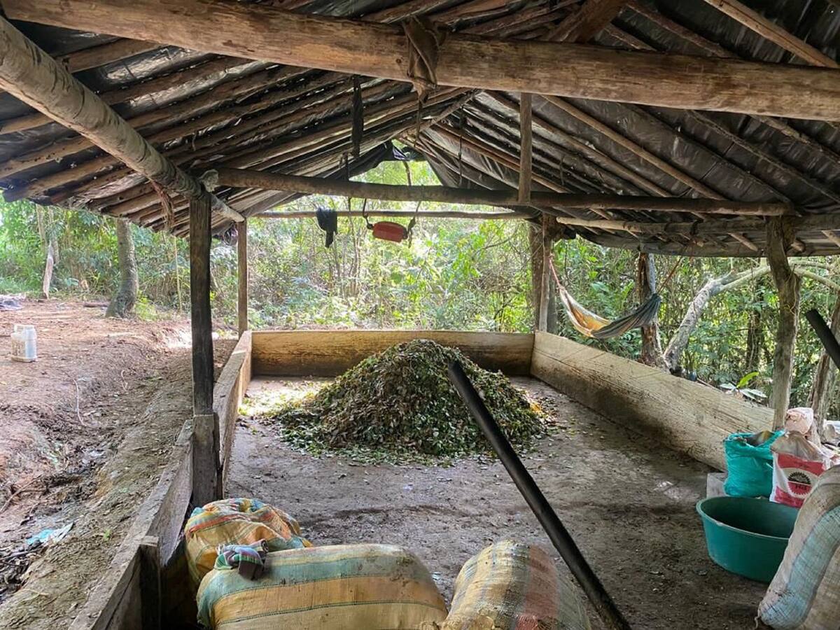 Córdoba: más de 50 laboratorios para el procesamiento de coca han sido destruidos