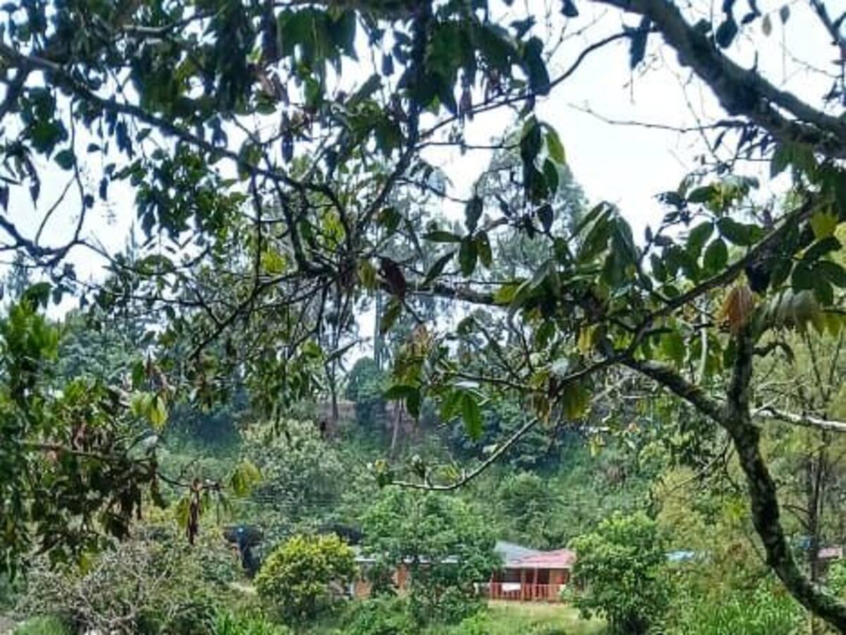 Más de 100 viviendas afectadas y cinco barrios inundados por las lluvias en Popayán