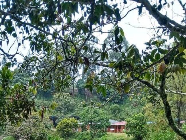 La creciente del río Molino generó una alerta amarilla por espacio de una hora. Crédito: OAGRD Poapayán.