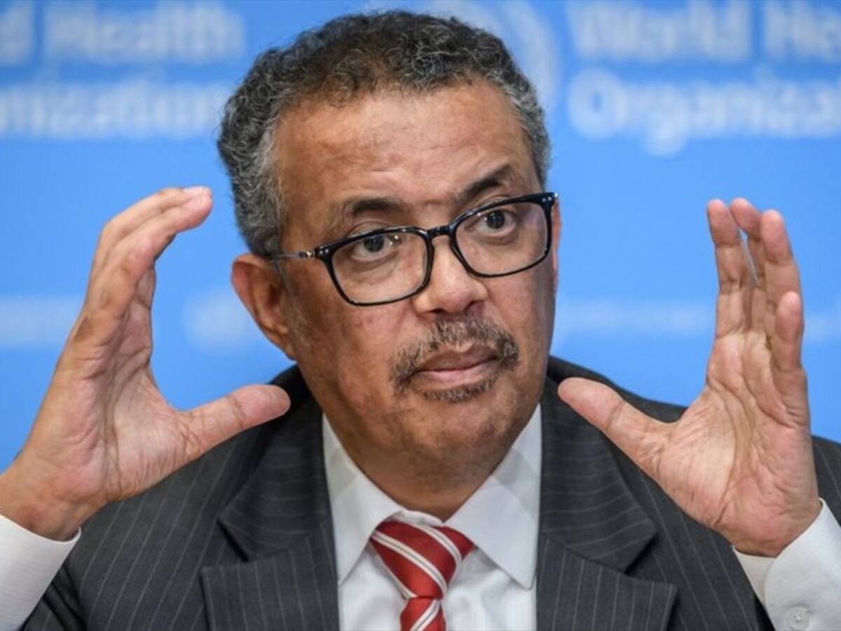 OMS celebró el alto el fuego en Gaza: “la paz es la mejor medicina”