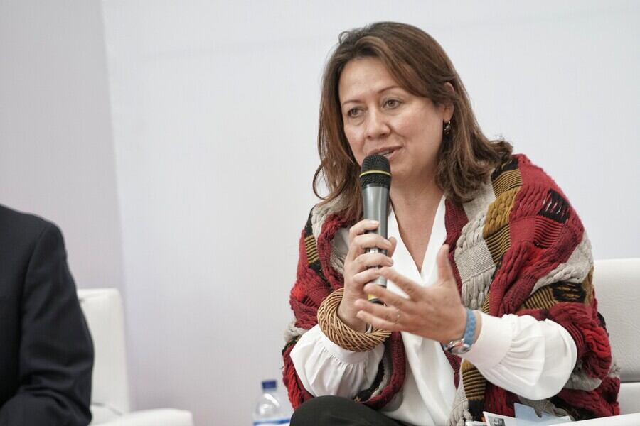 María Ximena Lombana, ministra de Comercio. Foto: Colprensa