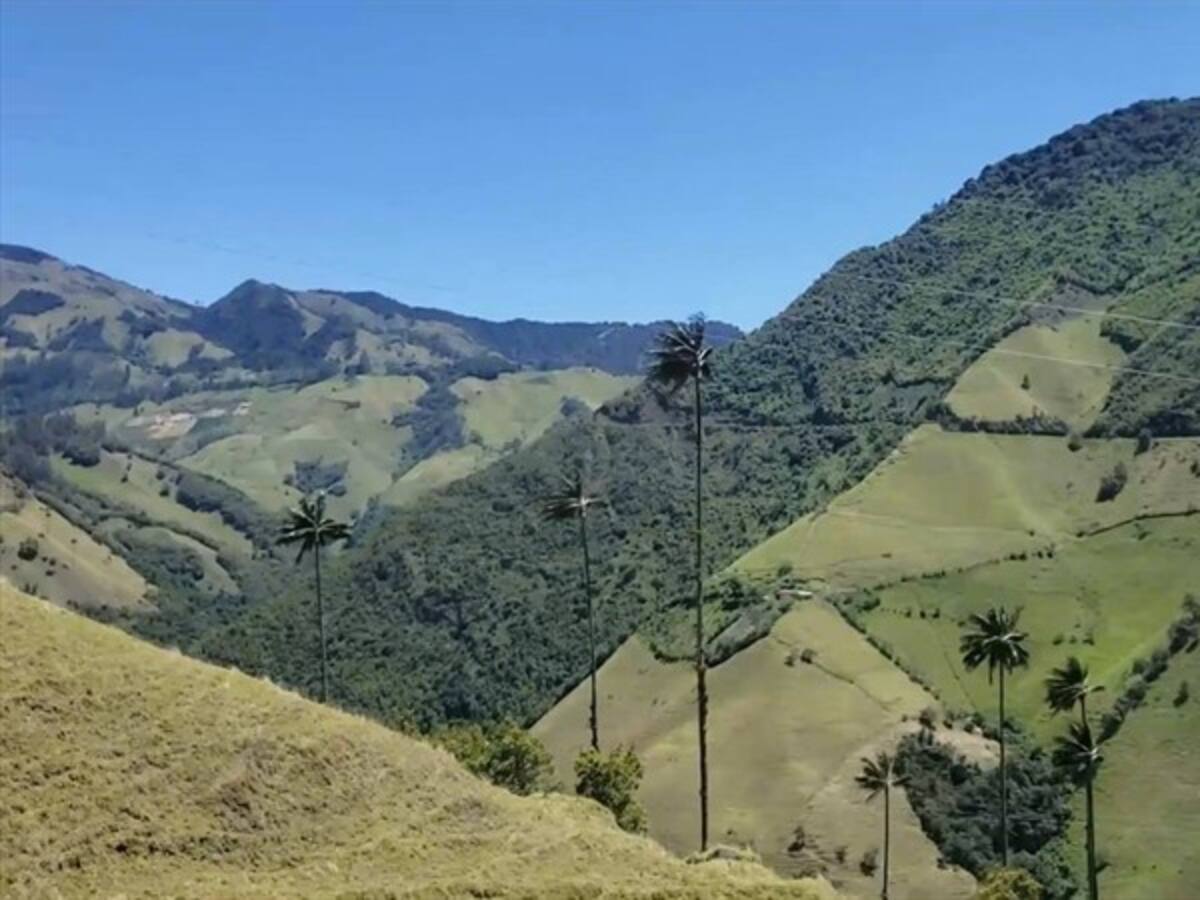 Los bomberos de Marulanda, Caldas, protegen los recursos naturales