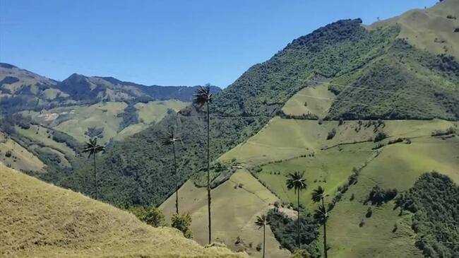 Foto: Marulanda, Caldas