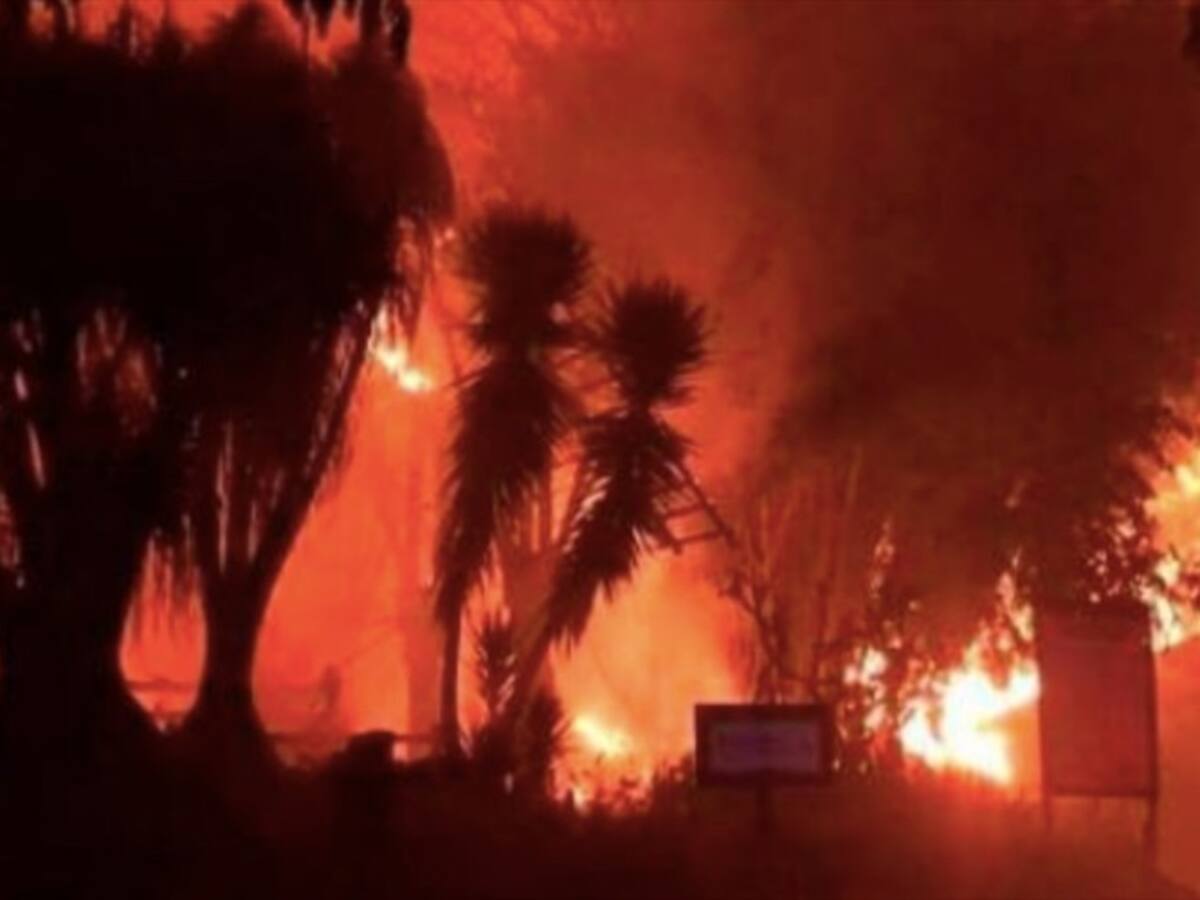 Voraz incendio se registró en Panaca y puso en riesgo a cientos de animales