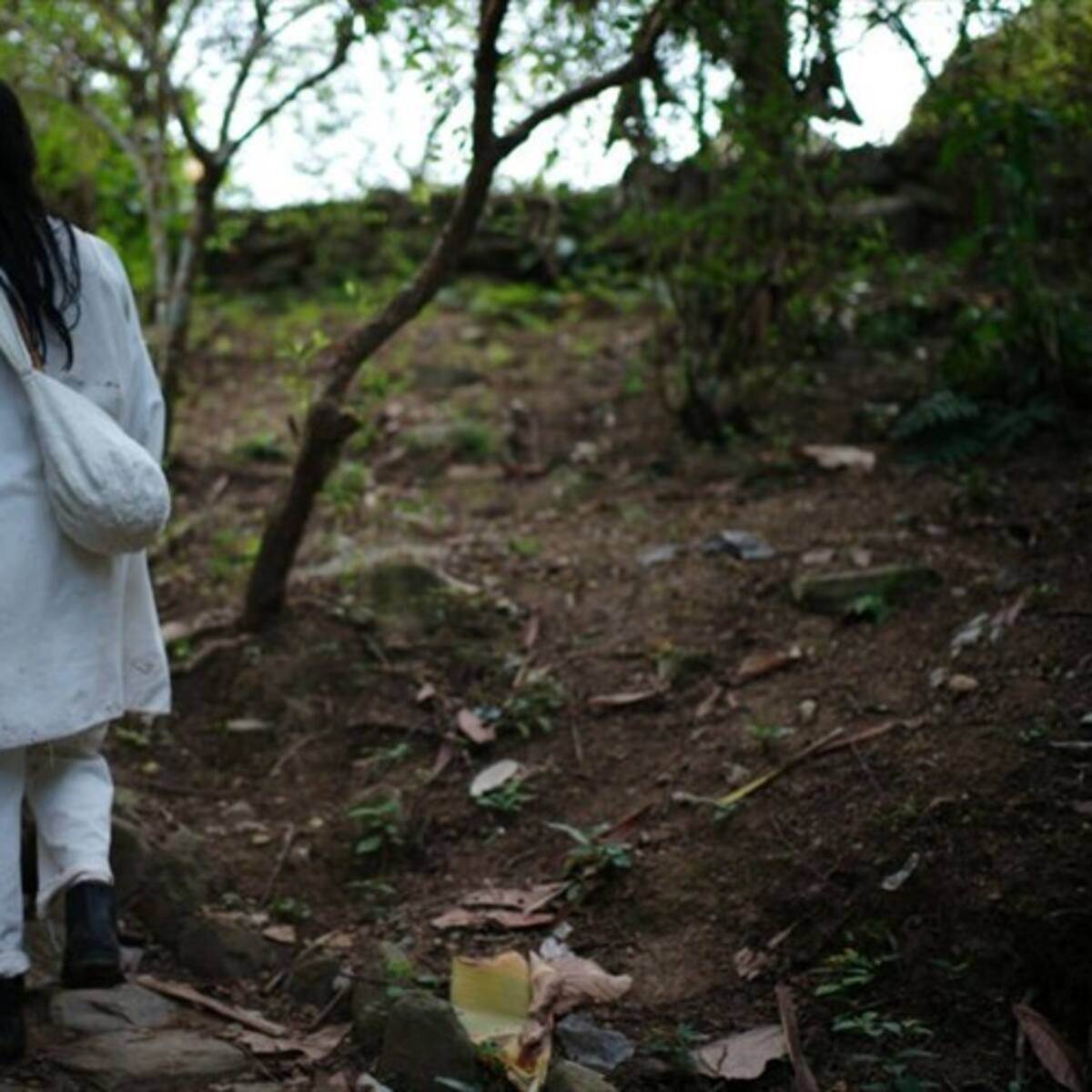 PGN rechaza actos de violencia contra indígenas y campesinos de la Sierra Nevada de Santa Marta