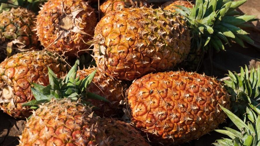 Joven campesino regaló sus piñas por la falta de apoyo al agro colombiano. Foto: Getty Images