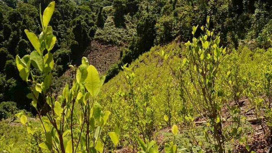 Imagen de referencia. Foto: Colprensa