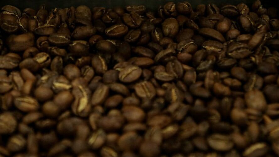 Sancionada ley que crea el Fondo de Estabilización de los Precios del Café. Foto: Colprensa