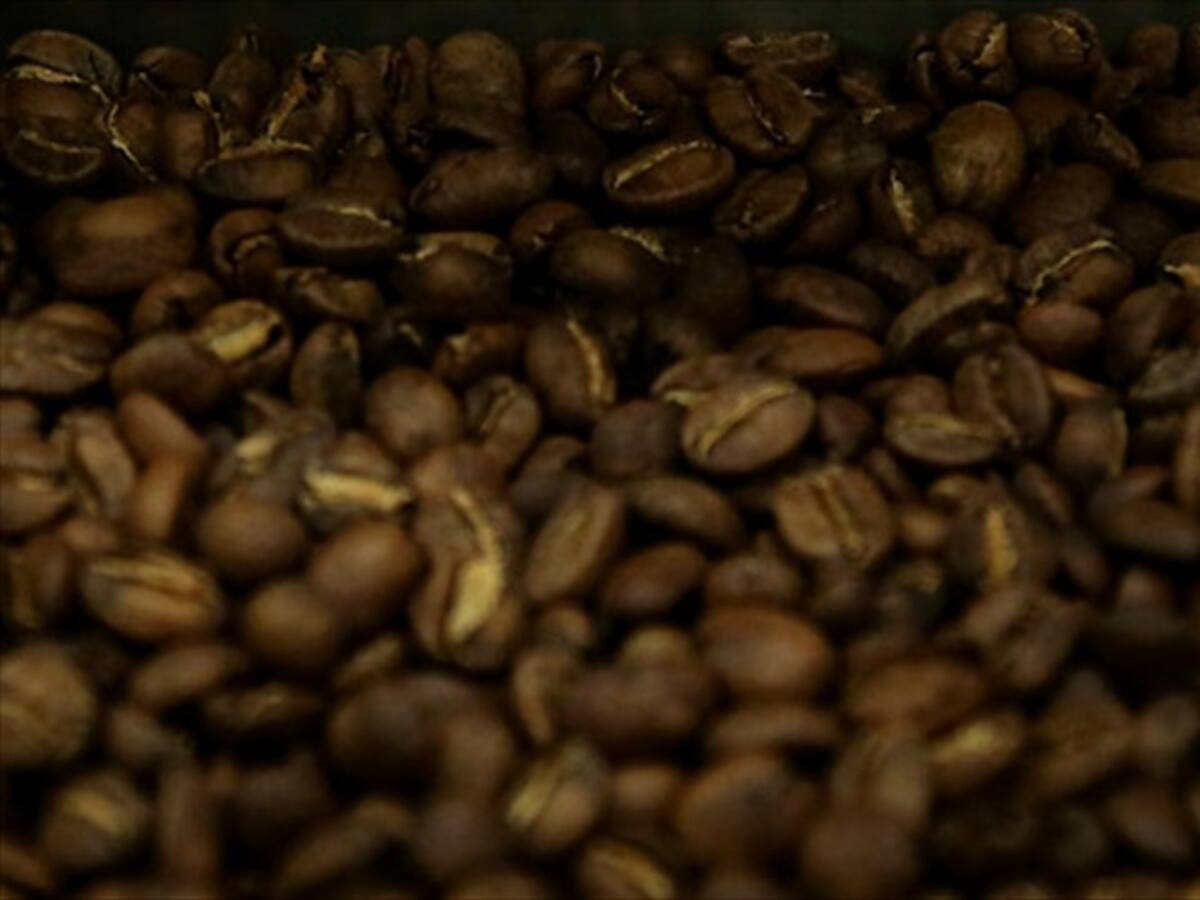 Sancionada ley que crea el Fondo de Estabilización de los Precios del Café