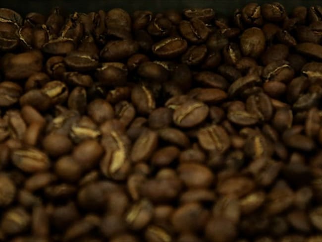 Sancionada ley que crea el Fondo de Estabilización de los Precios del Café. Foto: Colprensa