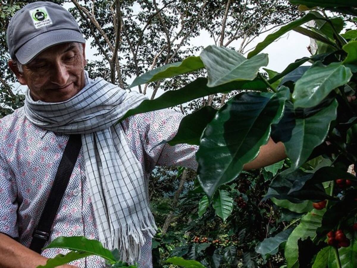 Otra jornada donde el precio interno del café volvió a tocar un máximo histórico