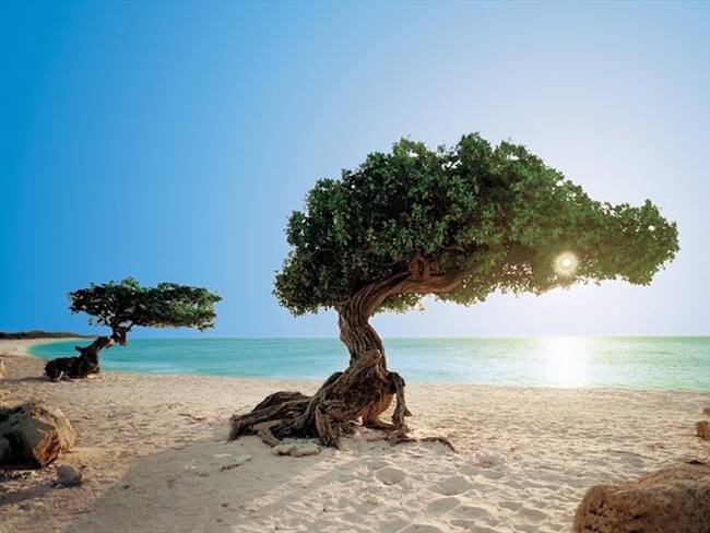 Imagen de referencia. Foto: Redacción Comercial